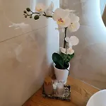 Coclea Charme Guest house 3*